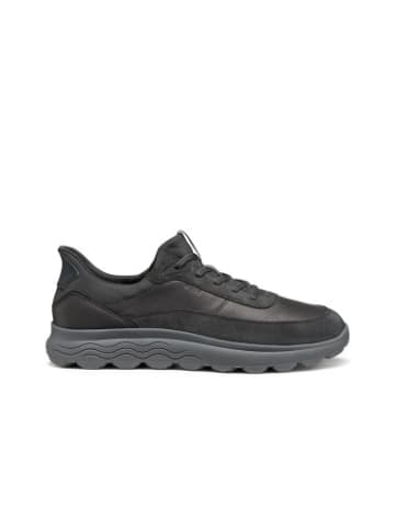 Geox Sneackers U in bunt