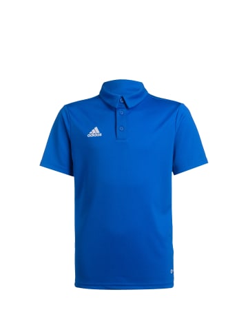 adidas Performance Poloshirt Entrada 22 in blau / weiß
