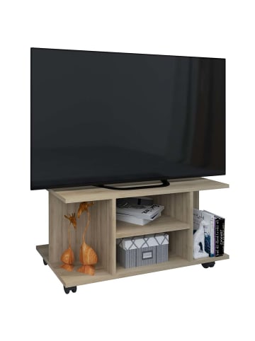 ebuy24 TV Tisch Findalo  Buche 80 x 40 cm