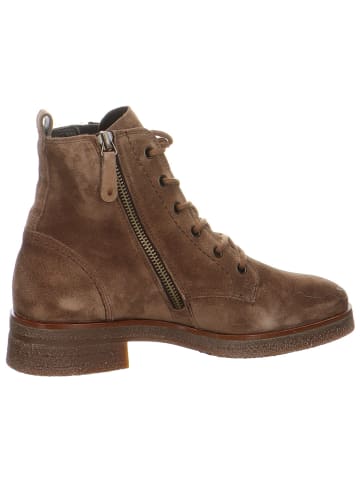 Paul Green Stiefelette in taupe