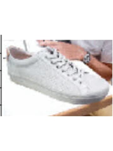 Blackstone Schnürschuhe  in grau