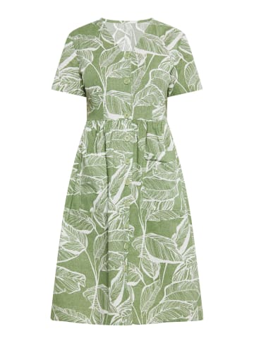 Albee Women Kleid in Grün Wollweiss