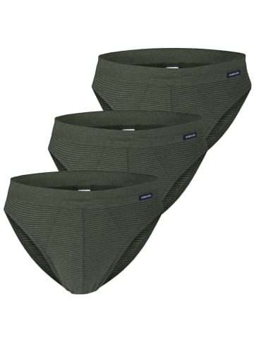 Ammann Slips 3er Pack in Olive