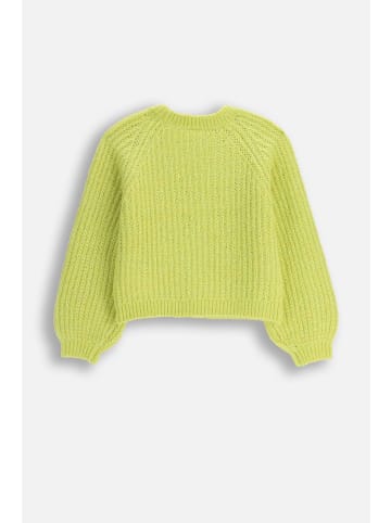 Coccodrillo Strickpullover in limonengrün