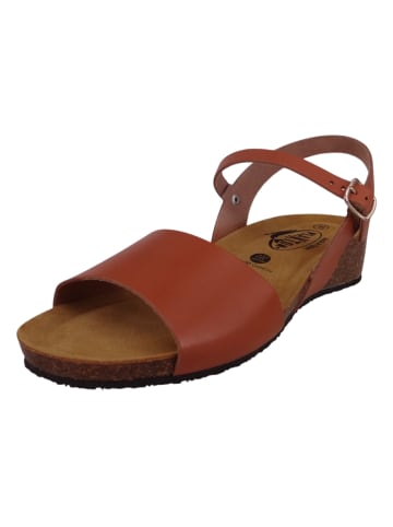 Plakton Sandalen braun