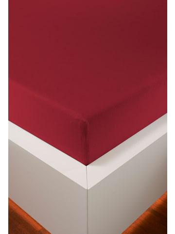 bellana jersey Spannbetttuch Edel-Jersey Elasthan in rubin