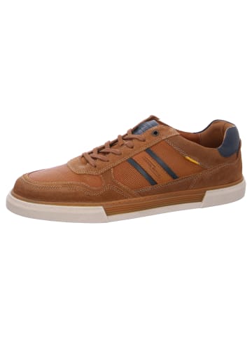 Camel Active Sneaker  in Braun