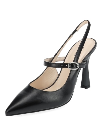 Nero Giardini Pumps in Schwarz