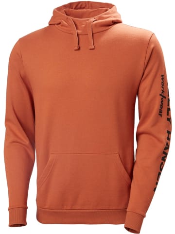 Helly Hansen Hoodie "Logo Hoodie" in Orange