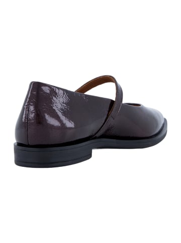 Paul Green Ballerinas in Braun