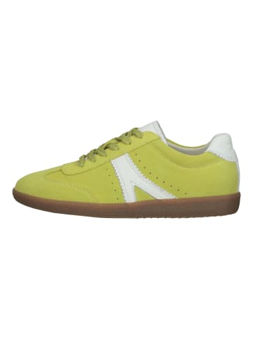 BRAX  Sneaker in Lime