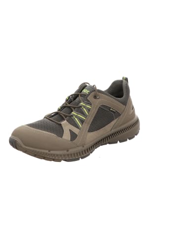 Ecco Schnürschuh in braun