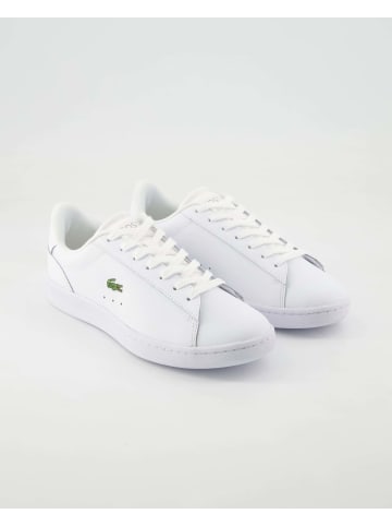 Lacoste Sneaker low in Weiß