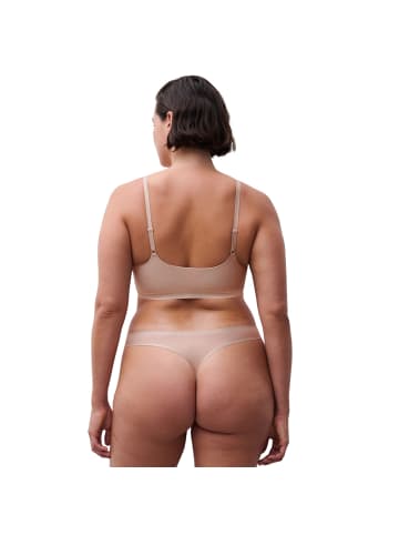 Chantelle String 1er Pack in Gold (Golden Glow)