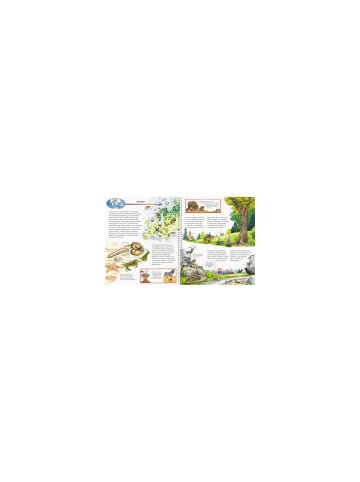 Wieso? Weshalb? Warum? Bilderbuch Wieso? Weshalb? Warum? Sonderband - Mein großer Tieratlas, ab 4 J.