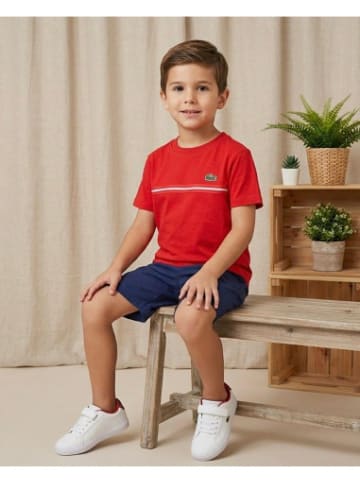 Lacoste Jr. Tshirt in