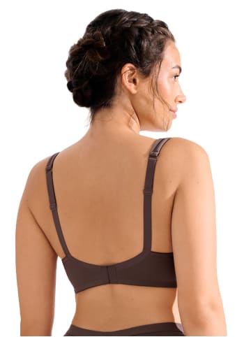 Lisca Schalen BH ohne Bügel in cocoa