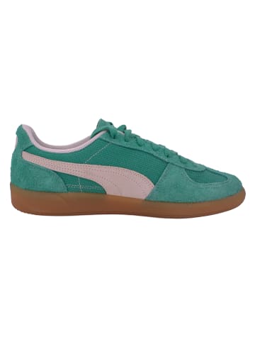 Puma Sneaker Palermo Vintage Leder in Grün