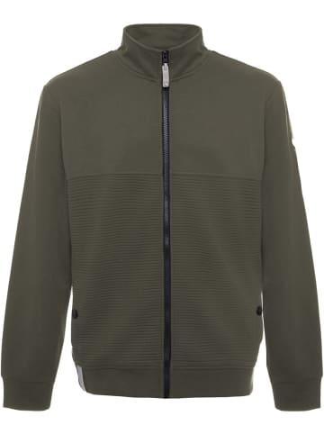 Baumfuchs Sweatjacke "Sweatjacke" in Grün