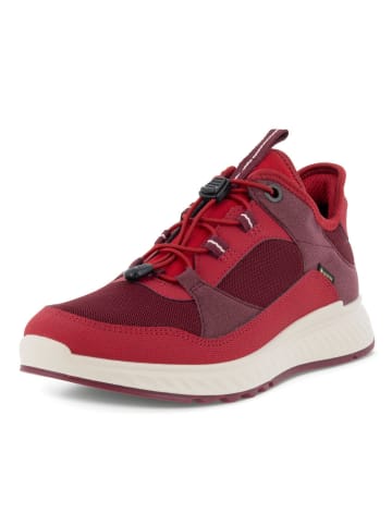 Ecco Sneaker in rot