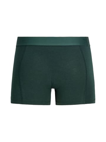 Jack & Jones 3er-Pack Trunks in Pine Grove