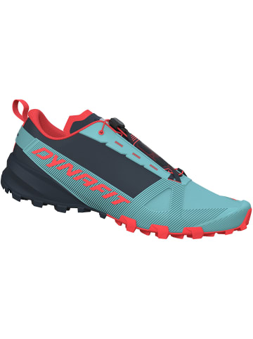 DYNAFIT W TRAVERSE in Blau