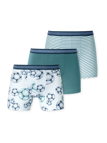Schiesser Retro Boxer 95/5 in grün