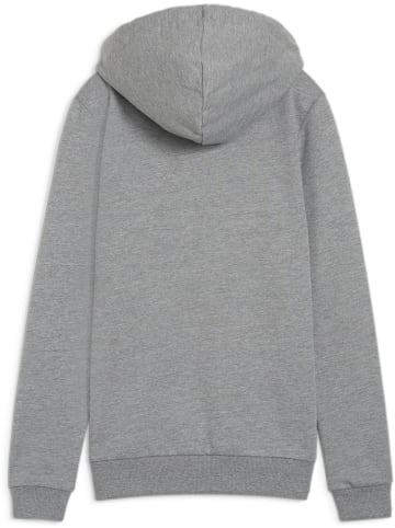 Puma Hoodie "TeamGoal CasuaLongsleeve Hoody Wmn" in Grau