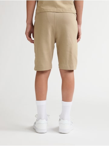 Petrol Industries Jersey-Jogging-Shorts Norte in Braun