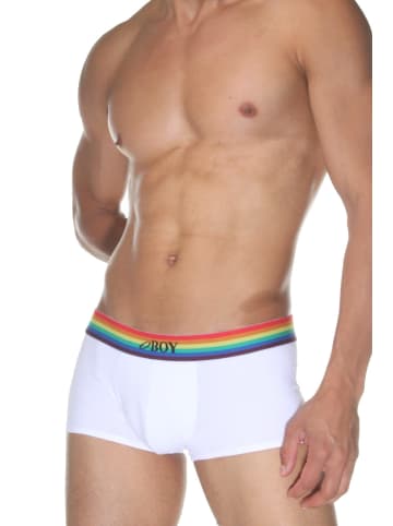 Oboy Pants U134 RAINBOW in weiss