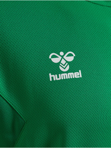 Hummel Hoodie Hmlauthentic Pl Hoodie in JELLY BEAN