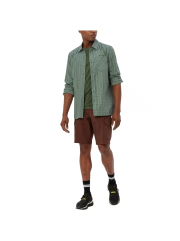 Vaude Albsteig LS Shirt III in Grün