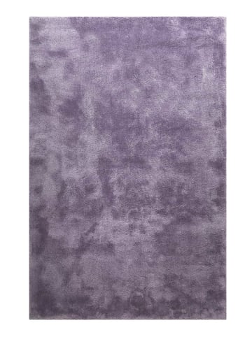 Teppich "Pisa" in Violett