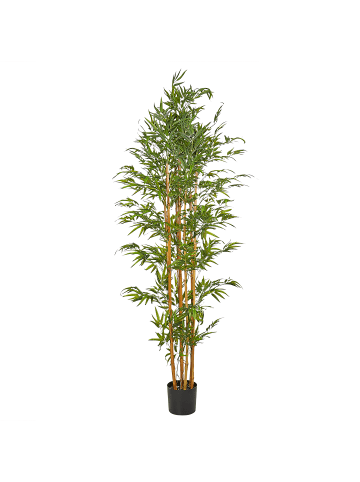 Beliani Kunstpflanze BAMBOO in Grün/Heller Holzfarbton - (W) 85 x (H) 220 x (L) 85 cm