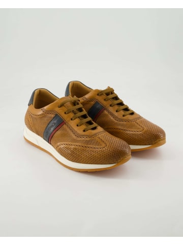 Galizio Torresi Sportliche Schnürschuhe in Braun