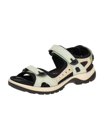 Ecco Trekkingsandalen in Grün