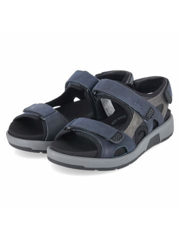 Josef Seibel Sandalette in blue