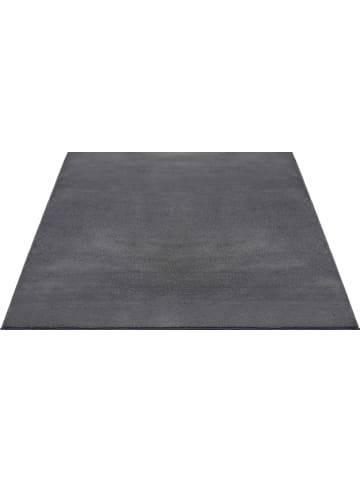 the carpet Fellteppich Cosy in Anthrazit