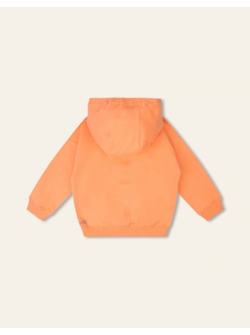 Oilily Hoody Harold in Orange