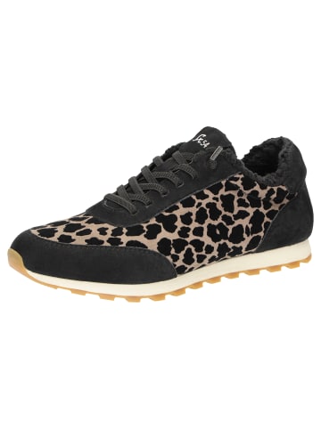 Sioux Sneaker Snejana-700-WF in mehrfarbig