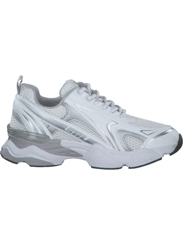 Steve Madden Schnürschuhe in white multi