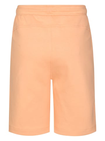 Petrol Industries Jersey-Jogging-Shorts Norte in Orange
