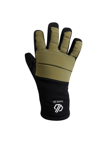 Dare 2b Skihandschuhe Freeride Glove in Oliv