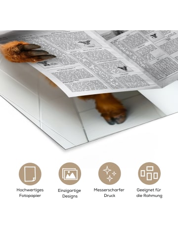 OnlyWow Poster Zeitung Schottisches Hochlandrind