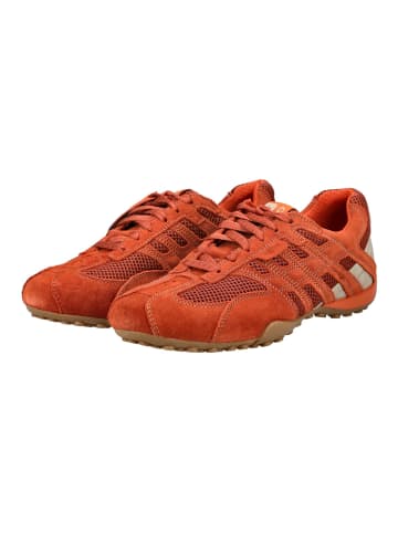 Geox Sneaker Orange