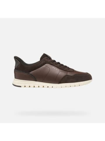 Geox Schuhe U in bunt