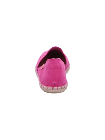 Verbenas Slipper Carmen in Rosa