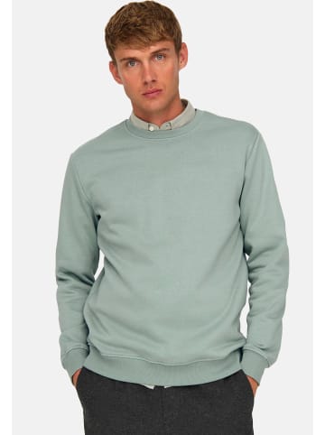 ONLY & SONS Sweatshirt Connor in Chinois green