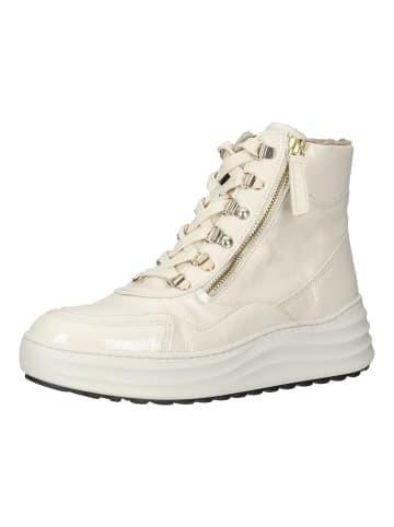 Gabor Sneaker in Latte