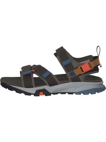 Timberland Sandalen in BRINDLE